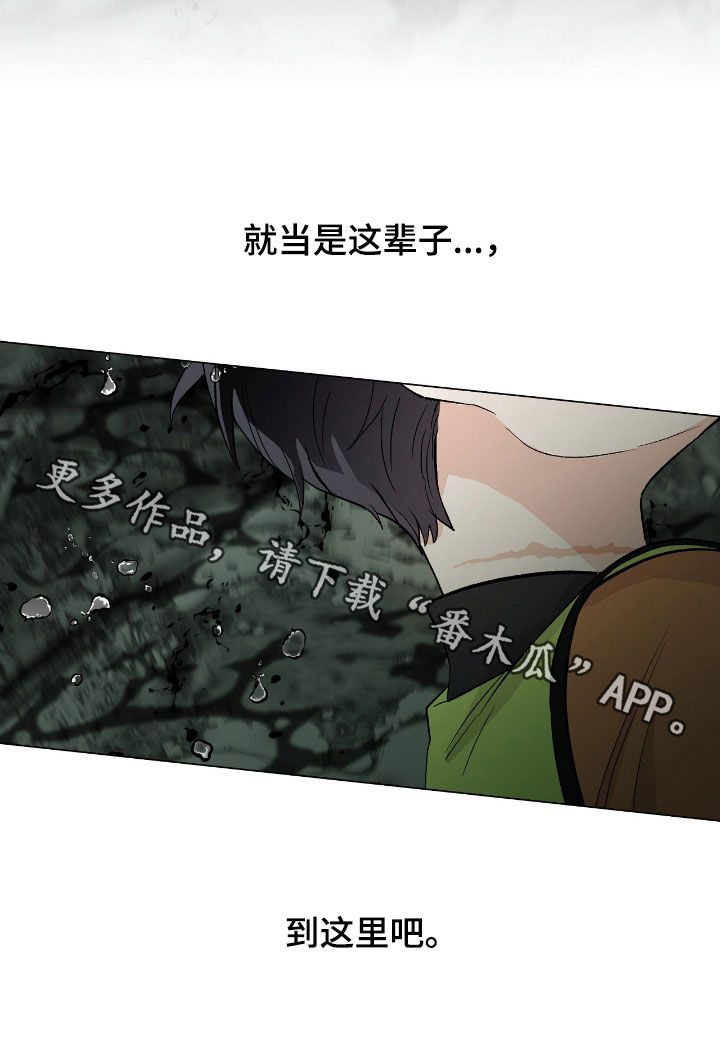 史蒂夫欧文被刺心脏视频漫画,第27章：到此为止吧5图