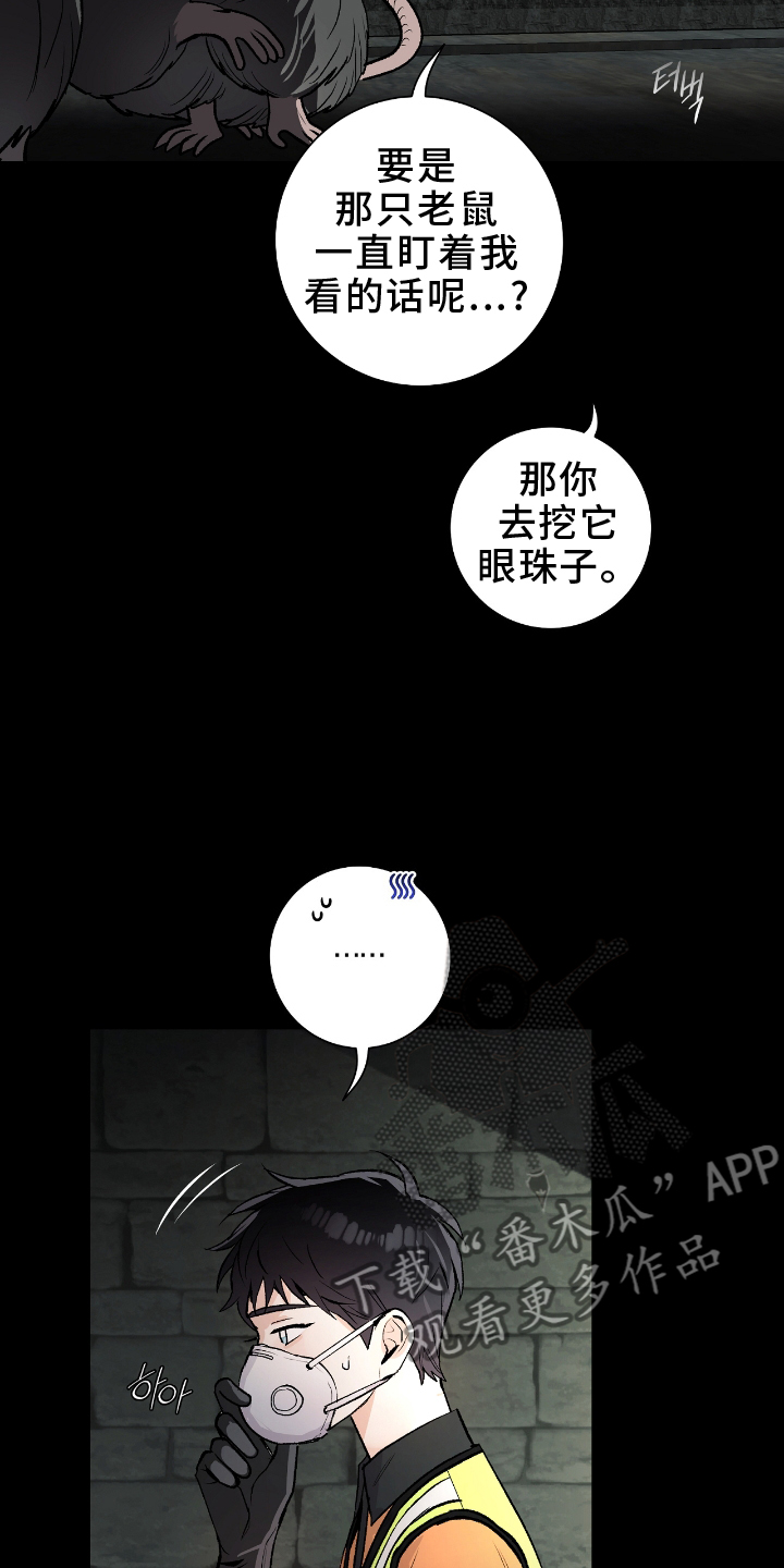 欧文受了什么伤漫画,第23章：闲聊1图