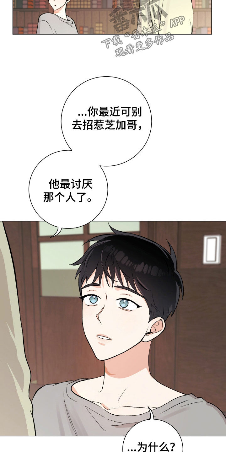 欧文的心脏 漫画漫画,第29章：市区2图