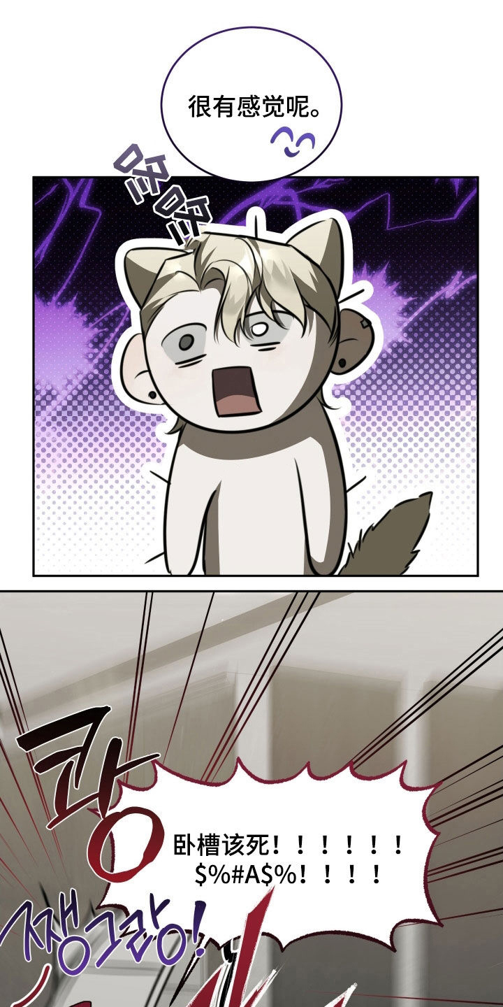 法外之地漫画,第20章：怎么可能2图