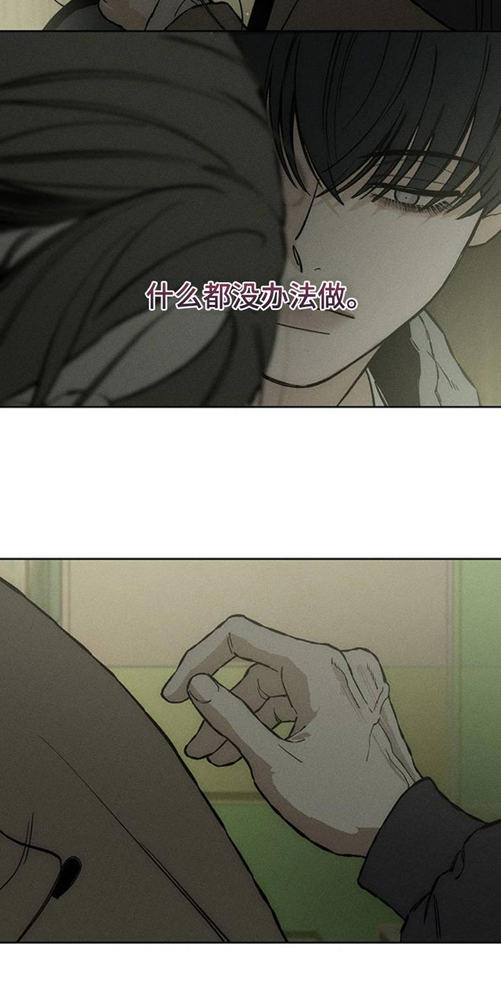 枯萎的花伤心的泪漫画免费阅读漫画,第51章：我的初恋1图