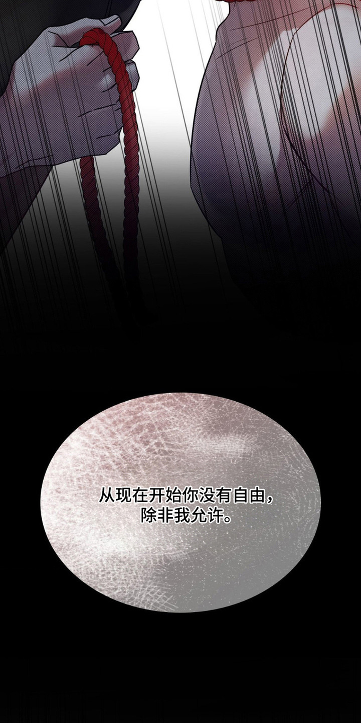 特殊绘画漫画,第16章：被束缚的自由2图