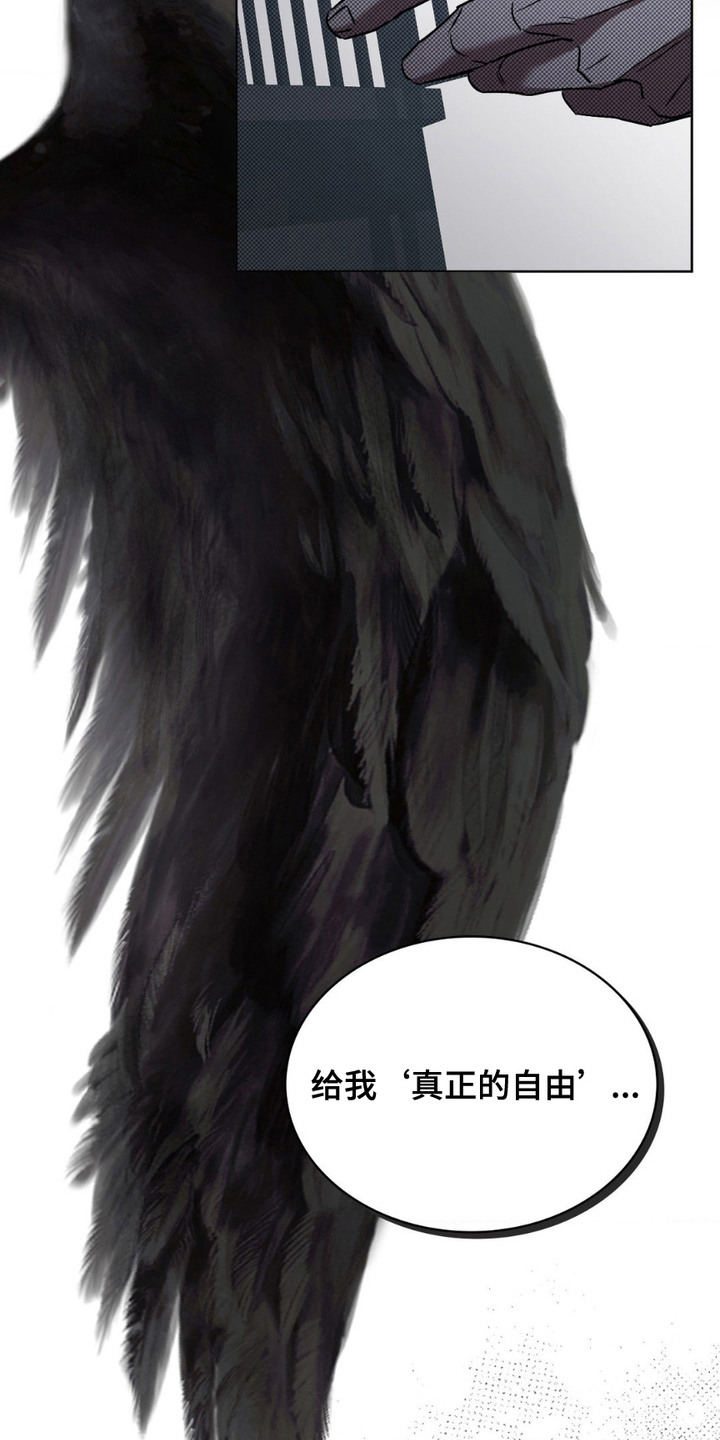 特殊绘画漫画,第18章：剩下的一半3图