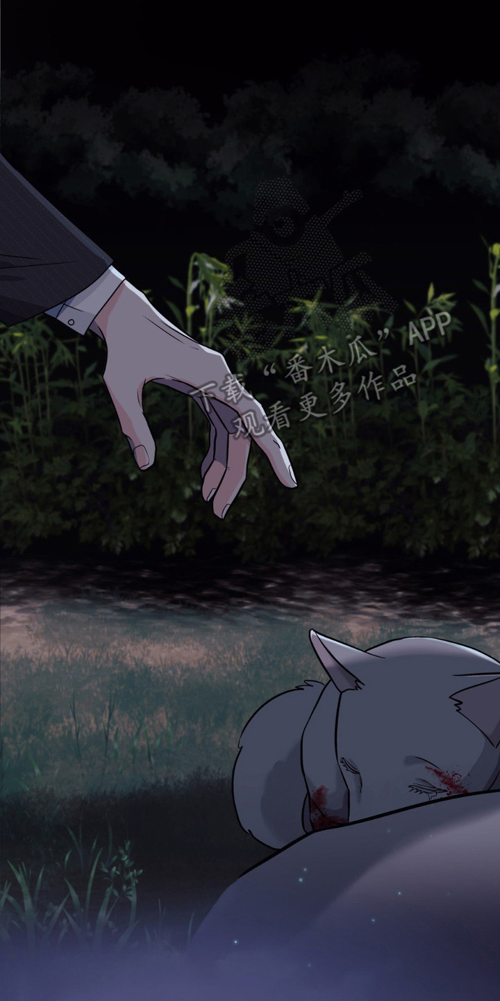 养狼为患漫画,第1章：小狼崽5图