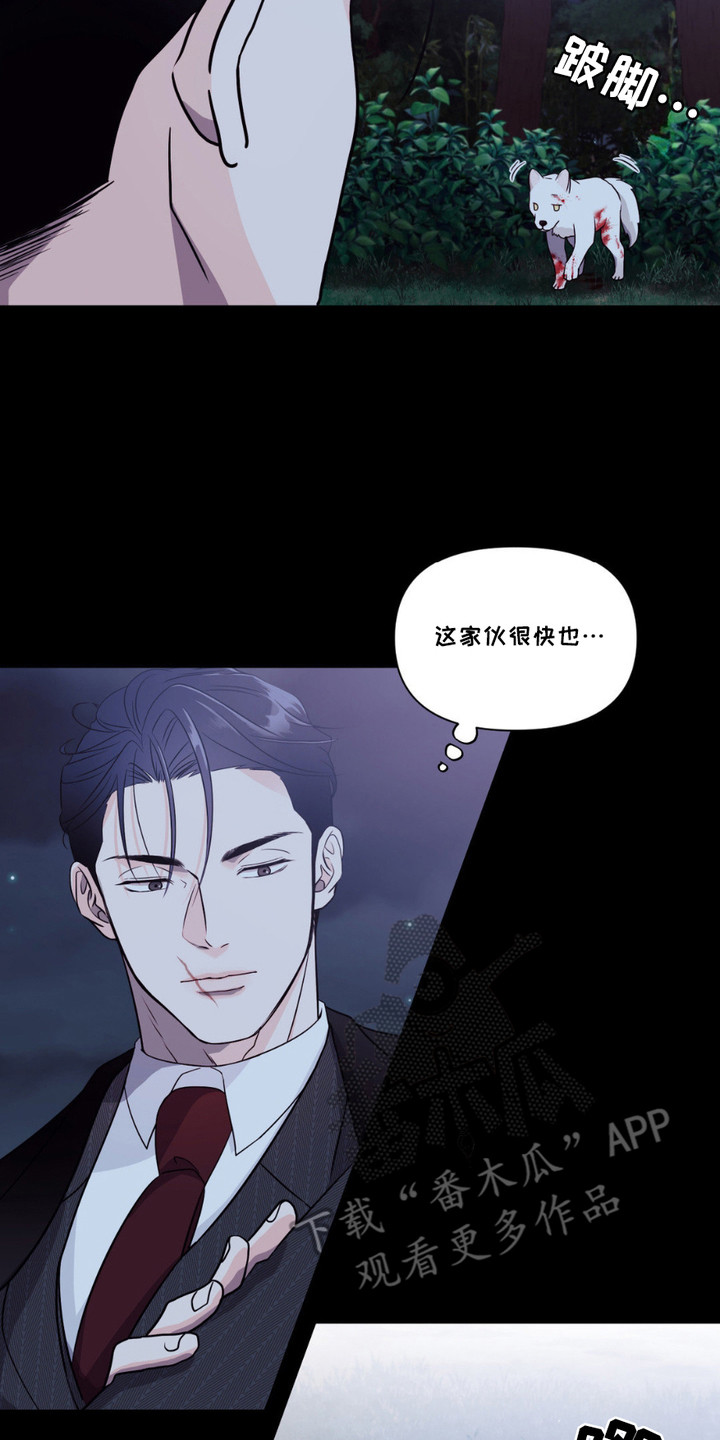 养狼为患漫画,第1章：小狼崽2图
