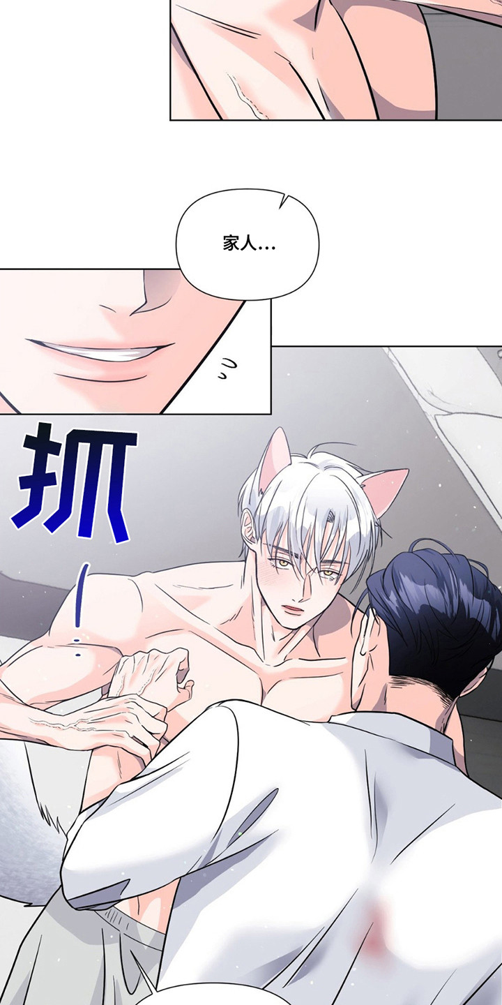 养狼为患漫画,第14章：心意4图