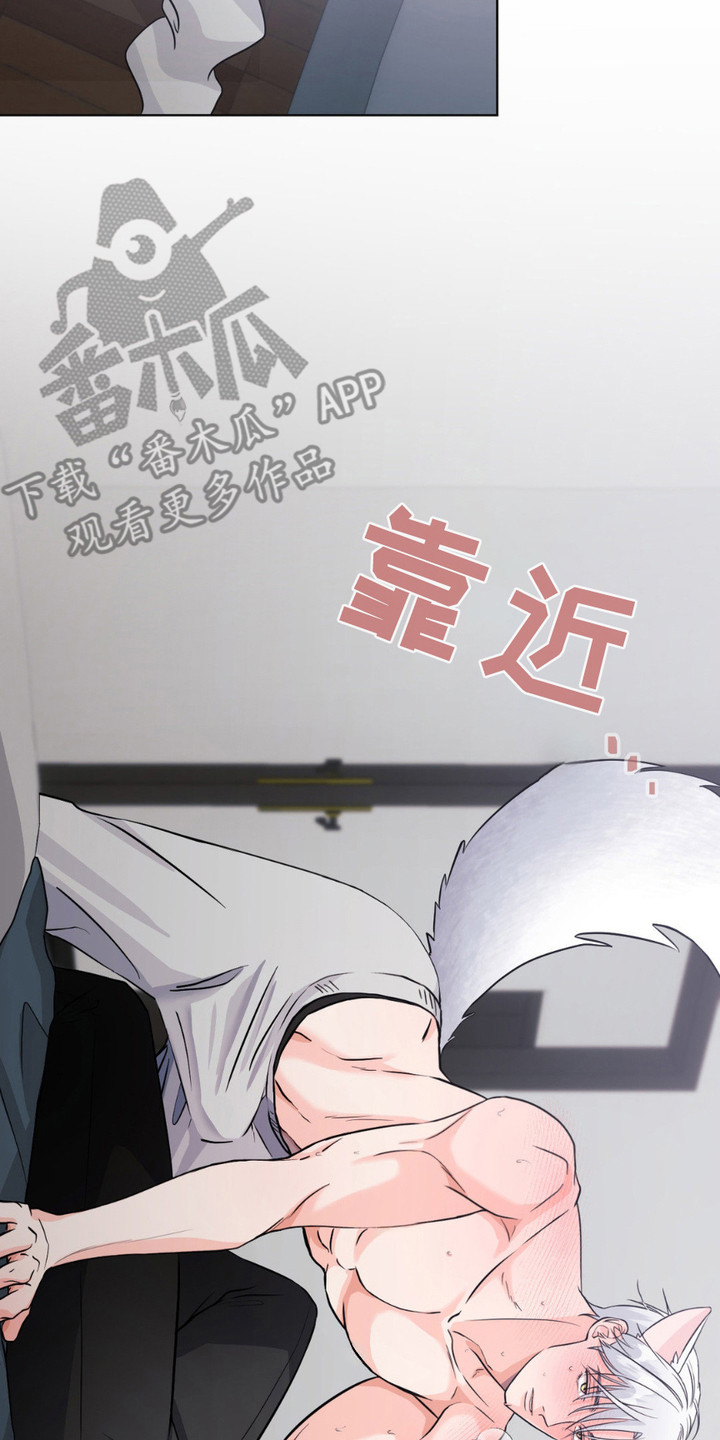 养狼为患在线阅读笔趣阁漫画,第11章：发热期4图