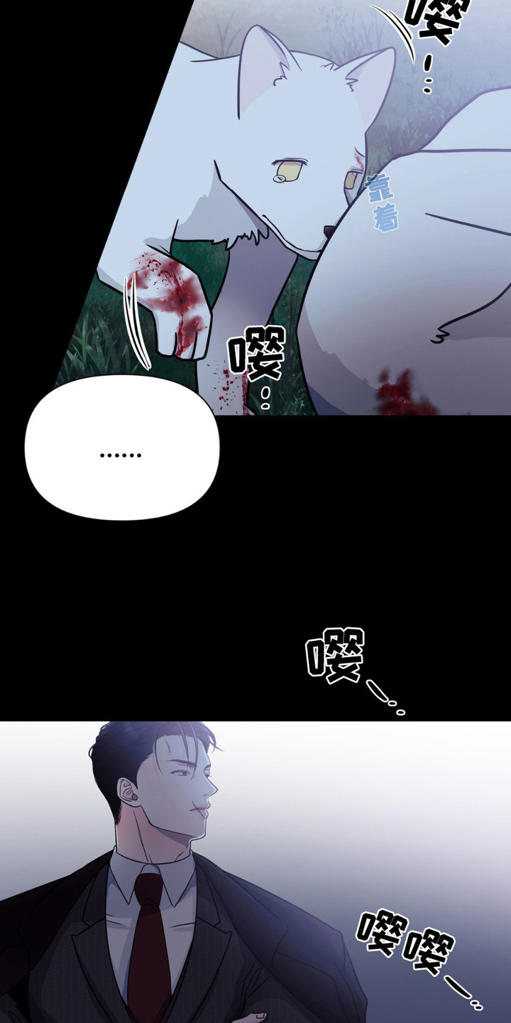 养狼为患漫画,第1章：小狼崽3图