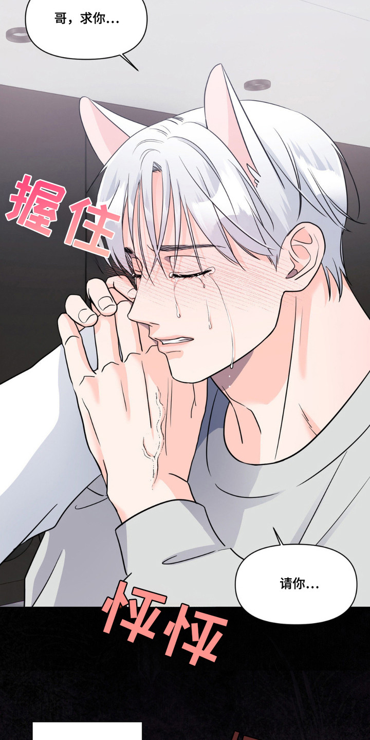 养狼为患by漫画,第10章：瞒不住1图