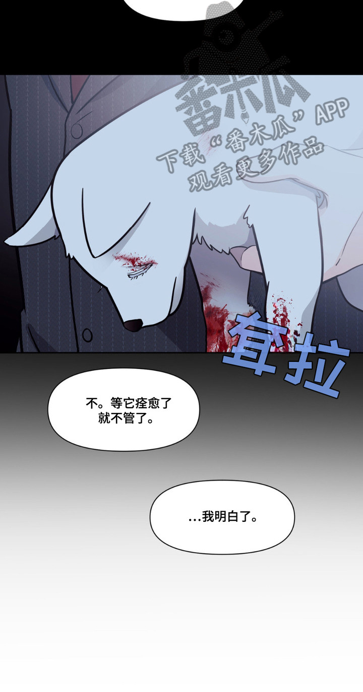 养狼为患漫画,第1章：小狼崽3图