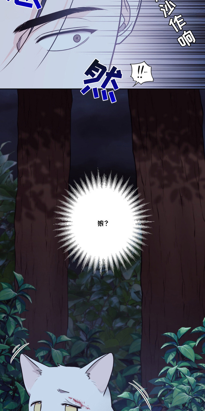 养狼为患漫画,第1章：小狼崽5图