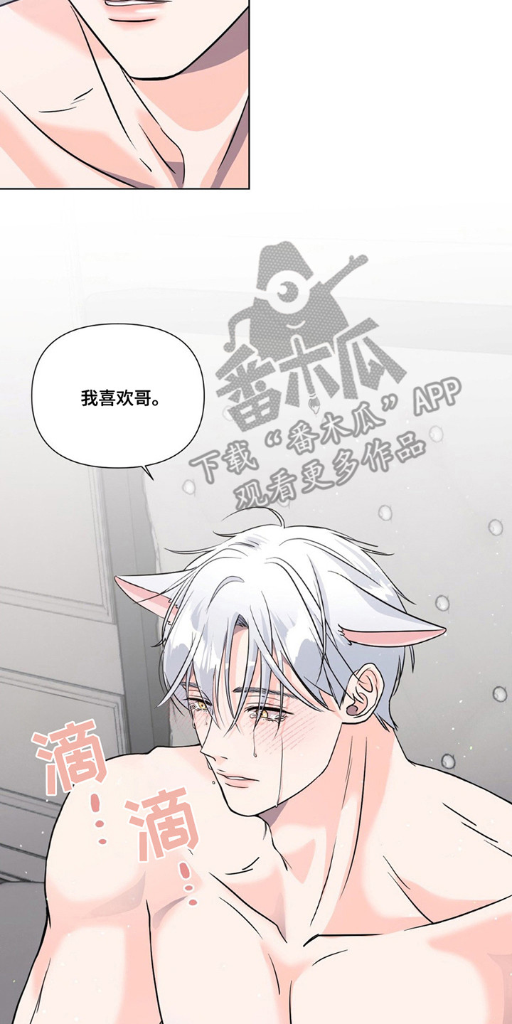 养狼为患漫画,第14章：心意5图