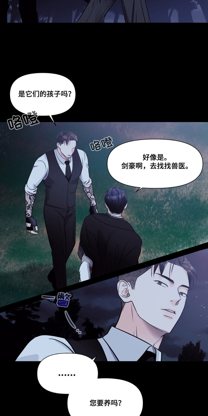 养狼为患漫画,第1章：小狼崽2图
