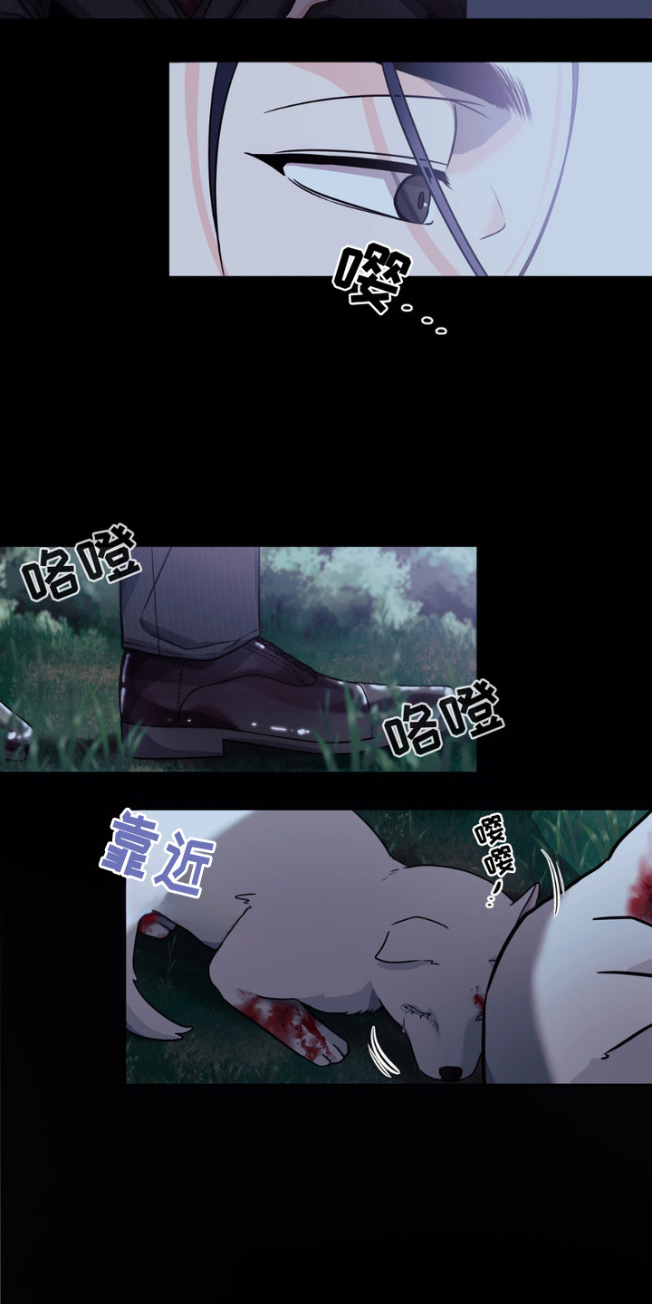 养狼为患漫画,第1章：小狼崽4图