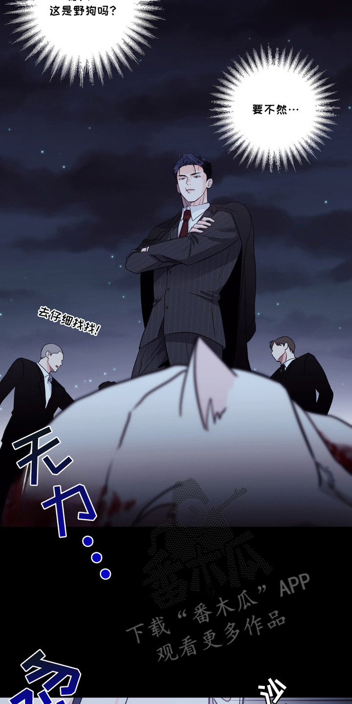 养狼为患漫画,第1章：小狼崽4图