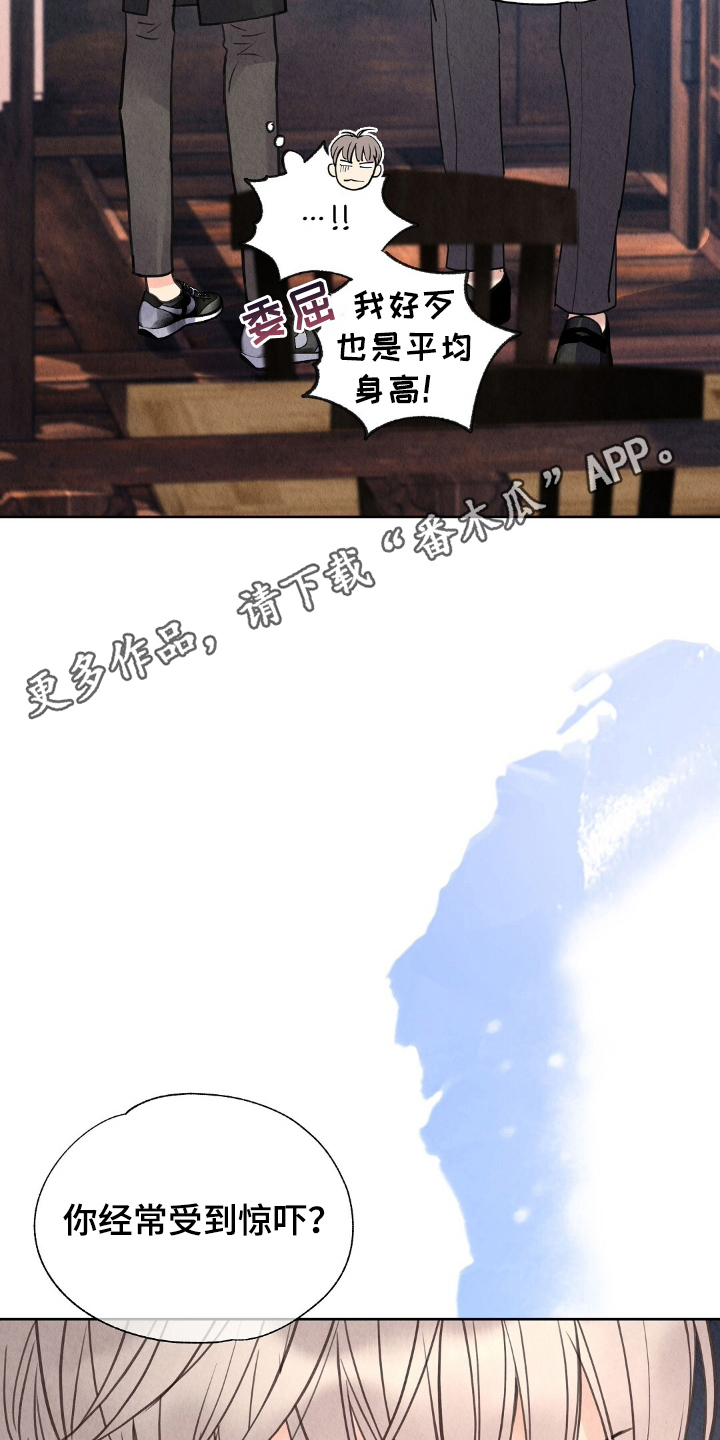 雨无痕韩漫小说在线阅读漫画,第14章：我不怕1图