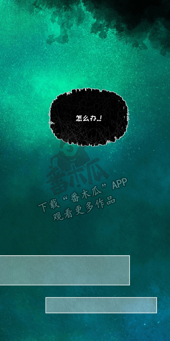 第5章：心脏聚停0