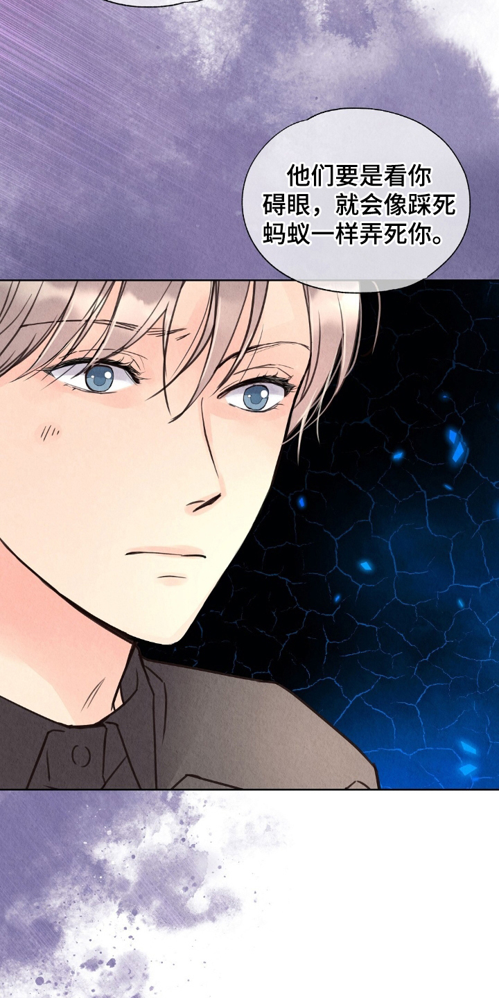 第5章：心脏聚停0