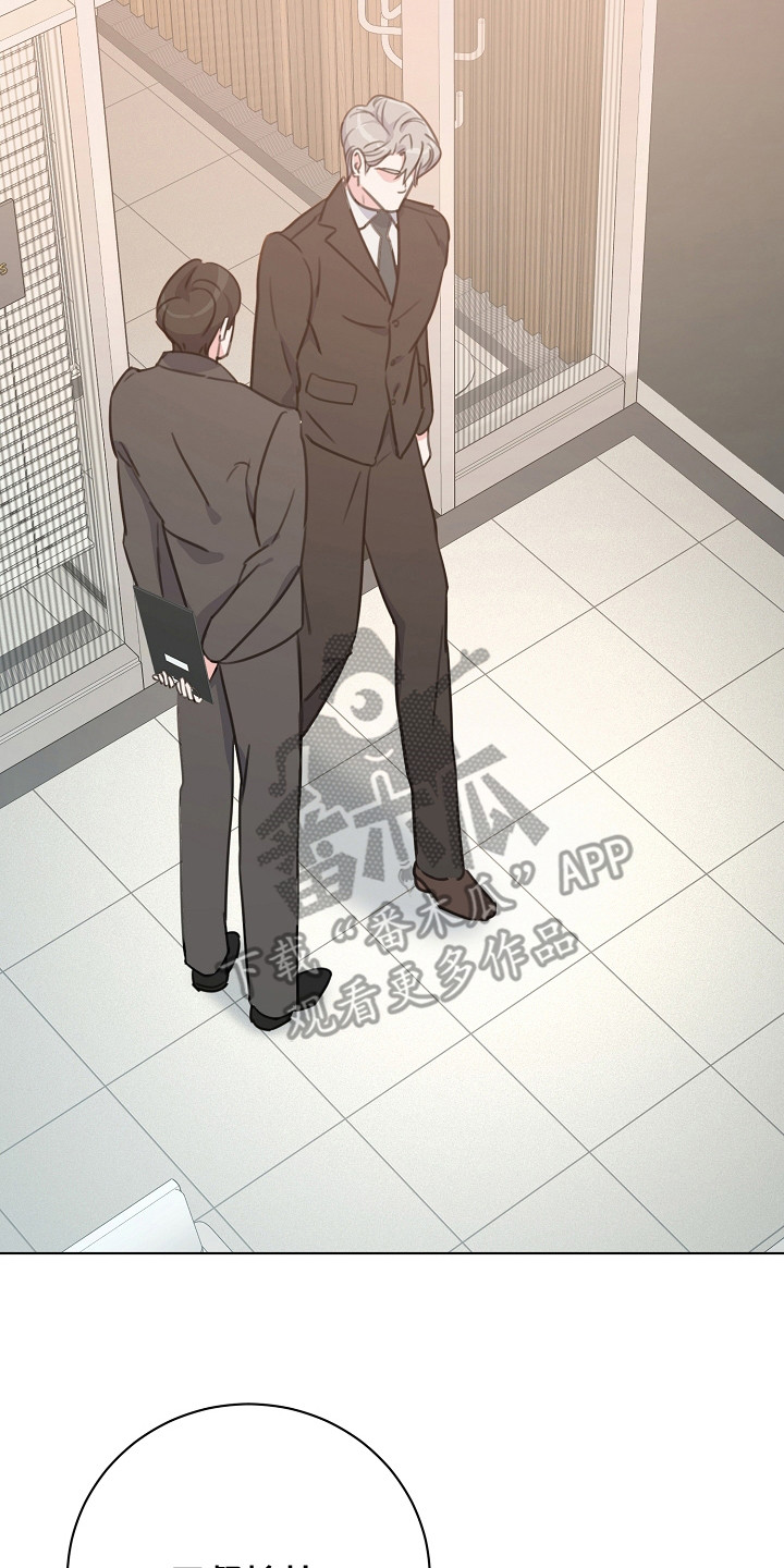 贷命协约漫画,第8章：大律师3图