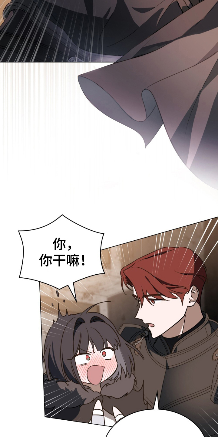 怪物女士与圣骑士漫画,第6章：不是罪人4图