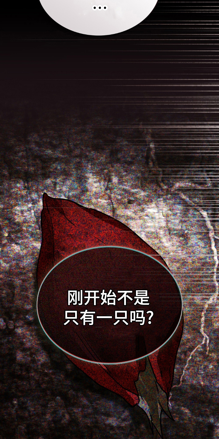 怪物小姐与圣骑士剧情漫画,第9章：只有你能3图