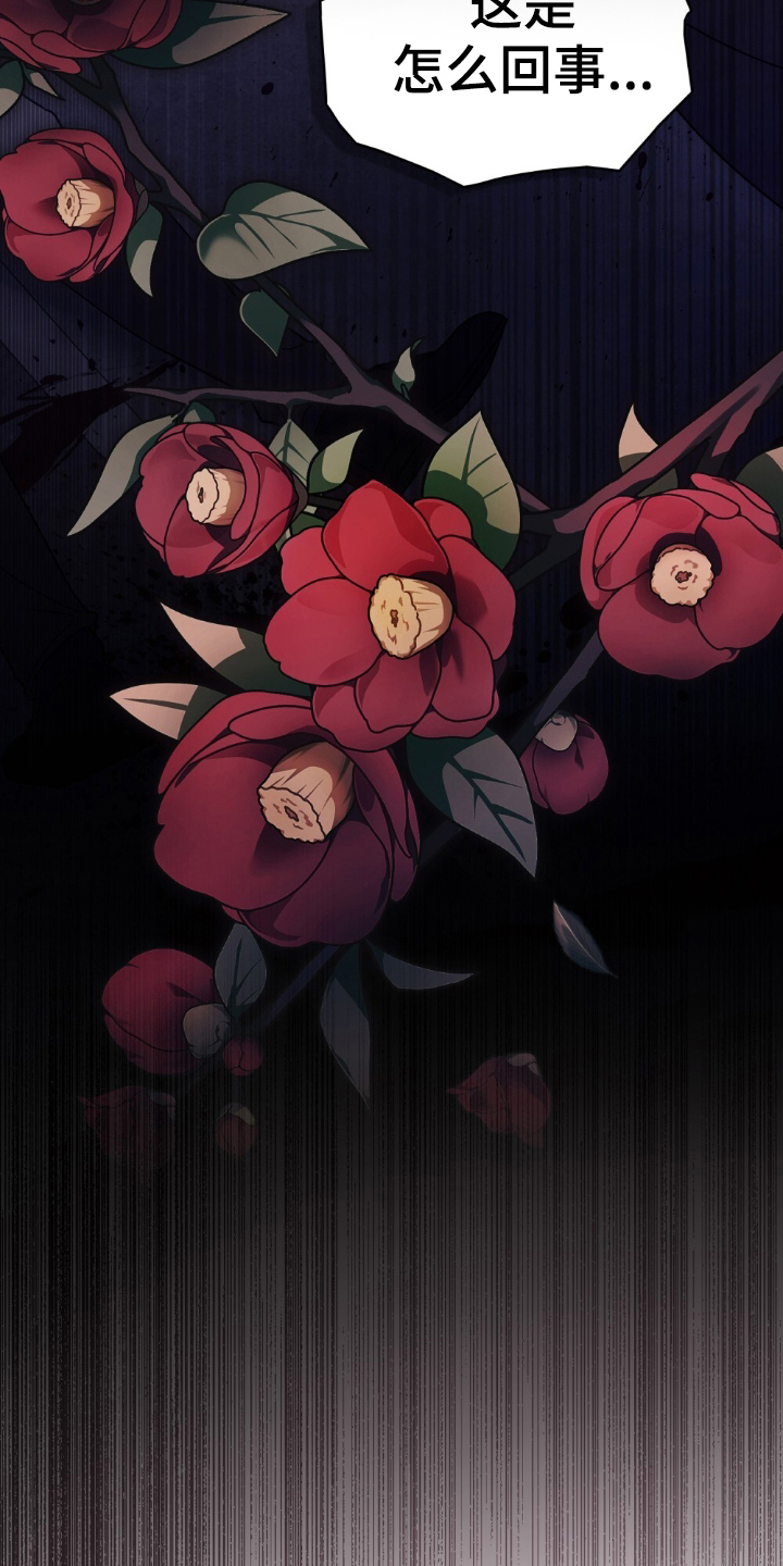 一口气看完怪物女士与圣骑士漫画,第2章：生日2图