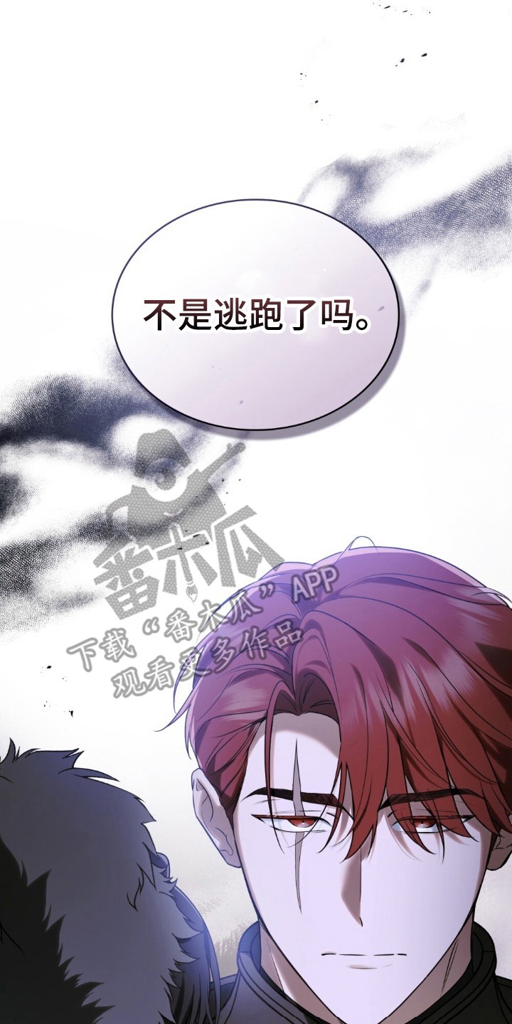 怪物小姐与圣骑士更新漫画,第7章：逃跑的骑士4图