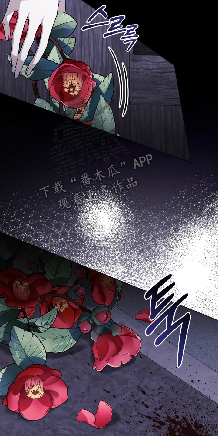 一口气看完怪物女士与圣骑士漫画,第2章：生日3图