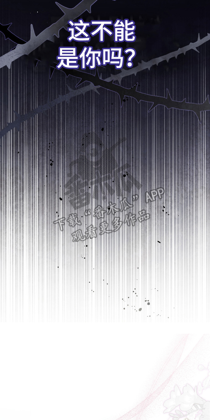 怪物女士与圣骑士漫画,第1章：缺爱4图