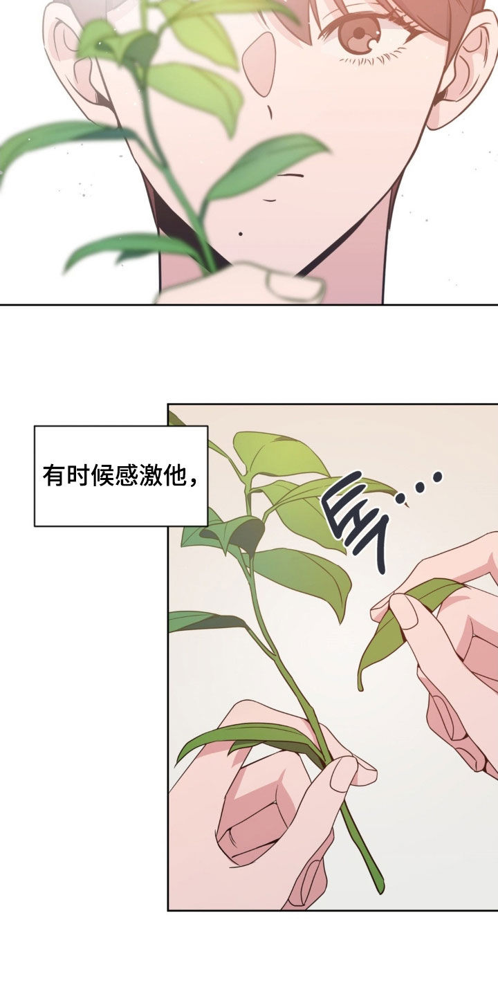 天使圣母折纸视频漫画,第52章：【第二季】不一样的感情2图