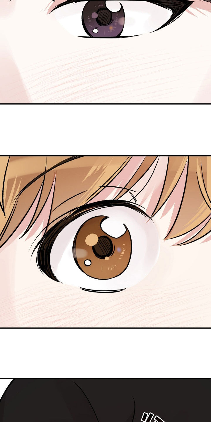 他的专属小狗漫画,第73章：不要杀我5图