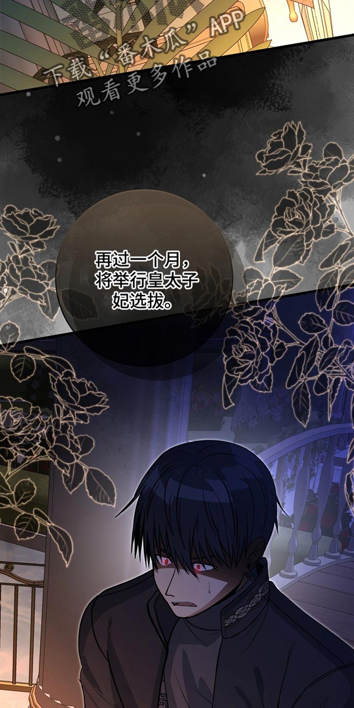 皇家教师漫画免费观看下拉式漫画,第71章：【第二季】选妃1图