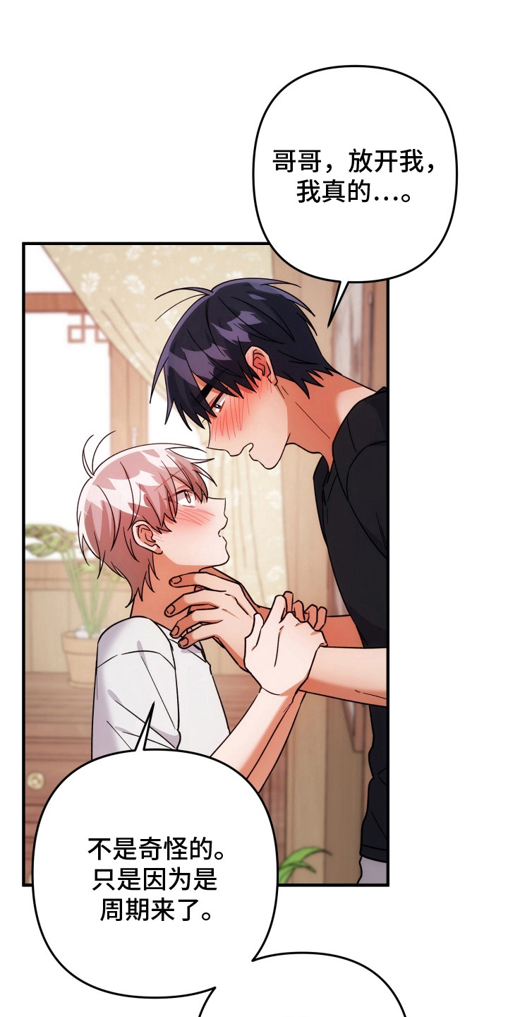 灰熊的玫瑰住宅漫画,第95章：真的生病吗5图