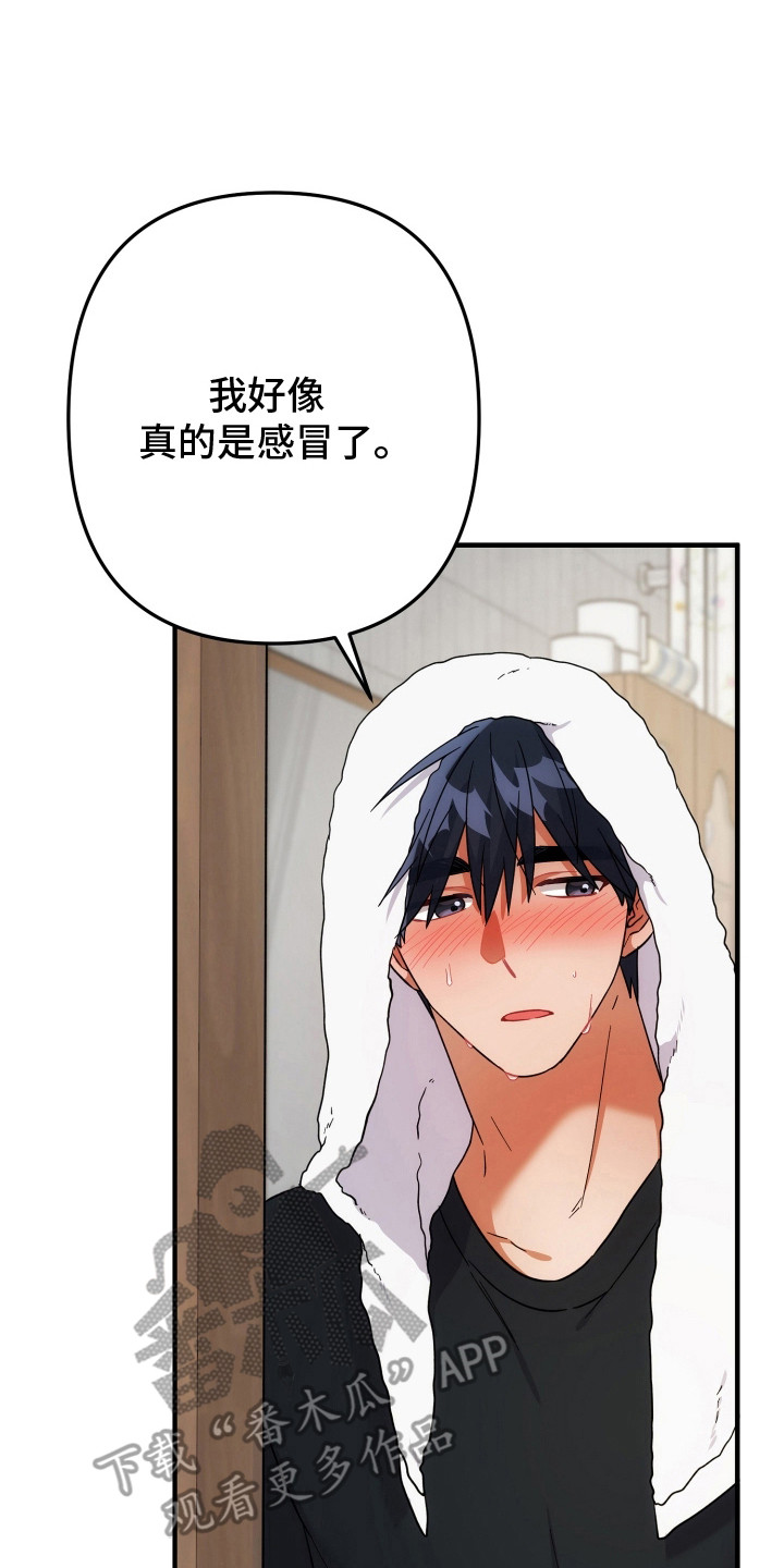 灰熊的玫瑰住宅韩漫漫画,第94章：无言拒绝3图