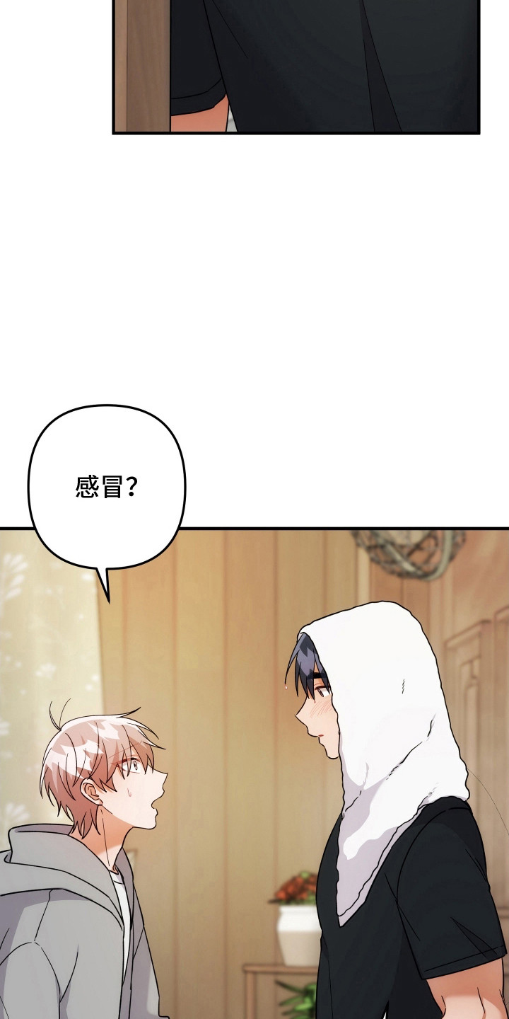 灰熊的玫瑰住宅韩漫漫画,第94章：无言拒绝4图