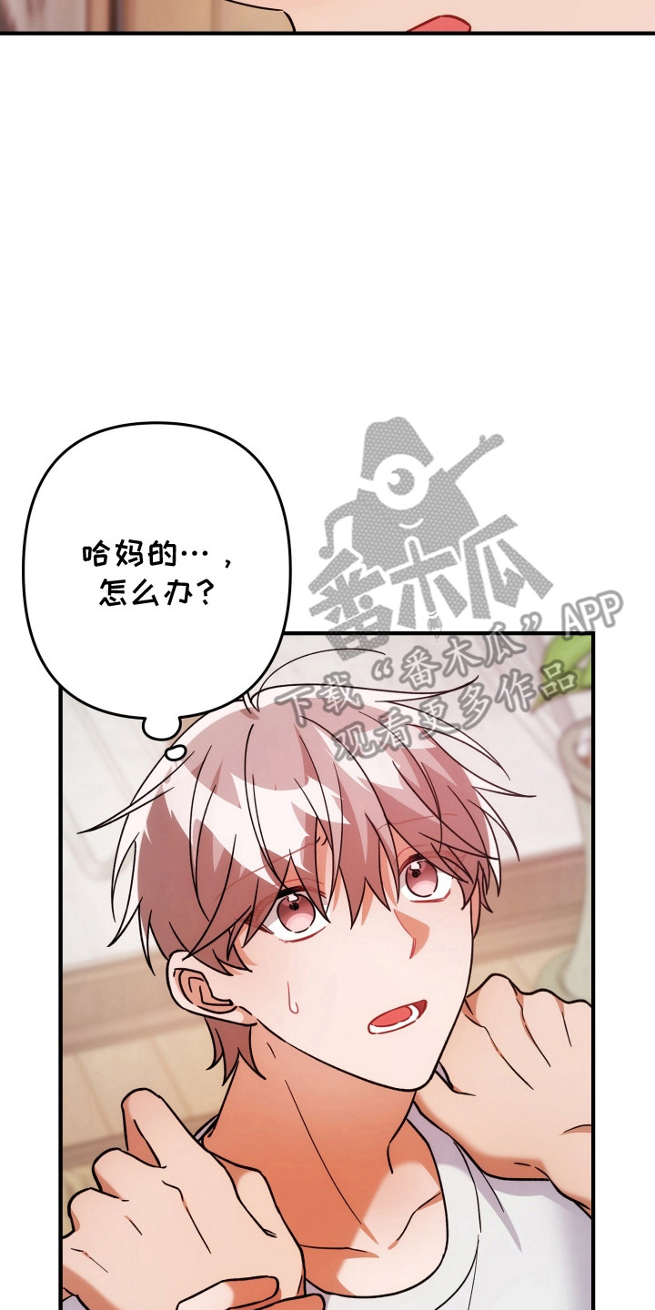 灰熊的玫瑰住宅漫画,第95章：真的生病吗3图