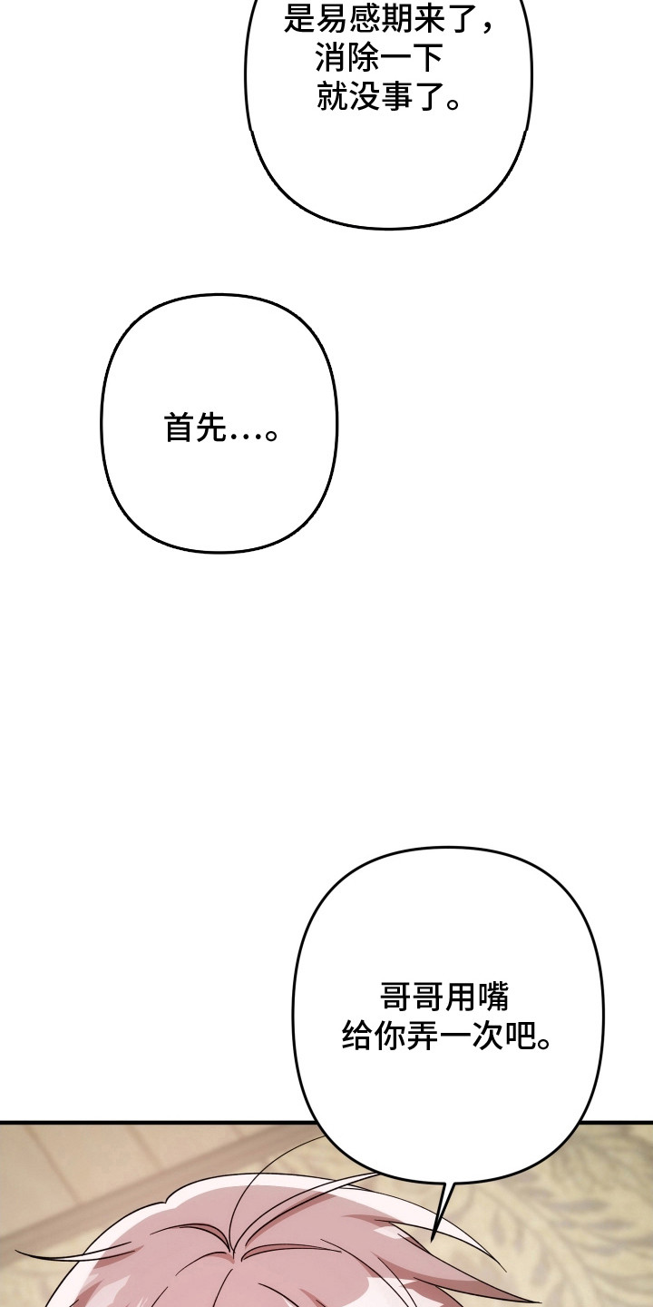 灰熊的玫瑰住宅免费漫画完整版漫画,第95章：真的生病吗1图