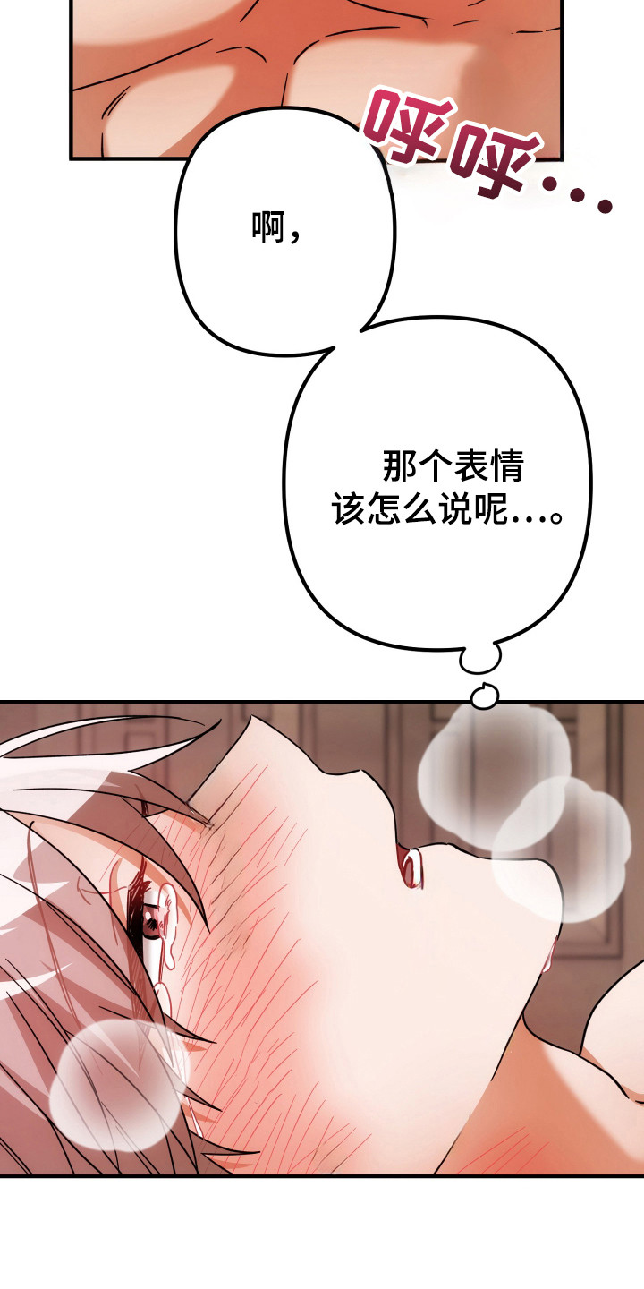 灰熊的玫瑰住宅韩漫漫画,第92章：累晕2图