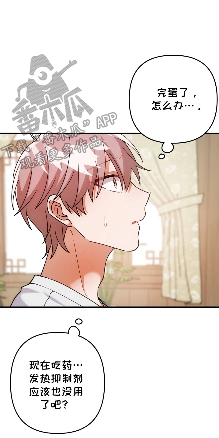 灰熊的玫瑰住宅漫画,第95章：真的生病吗5图