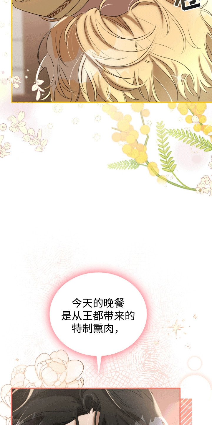 第21章：猫腻4