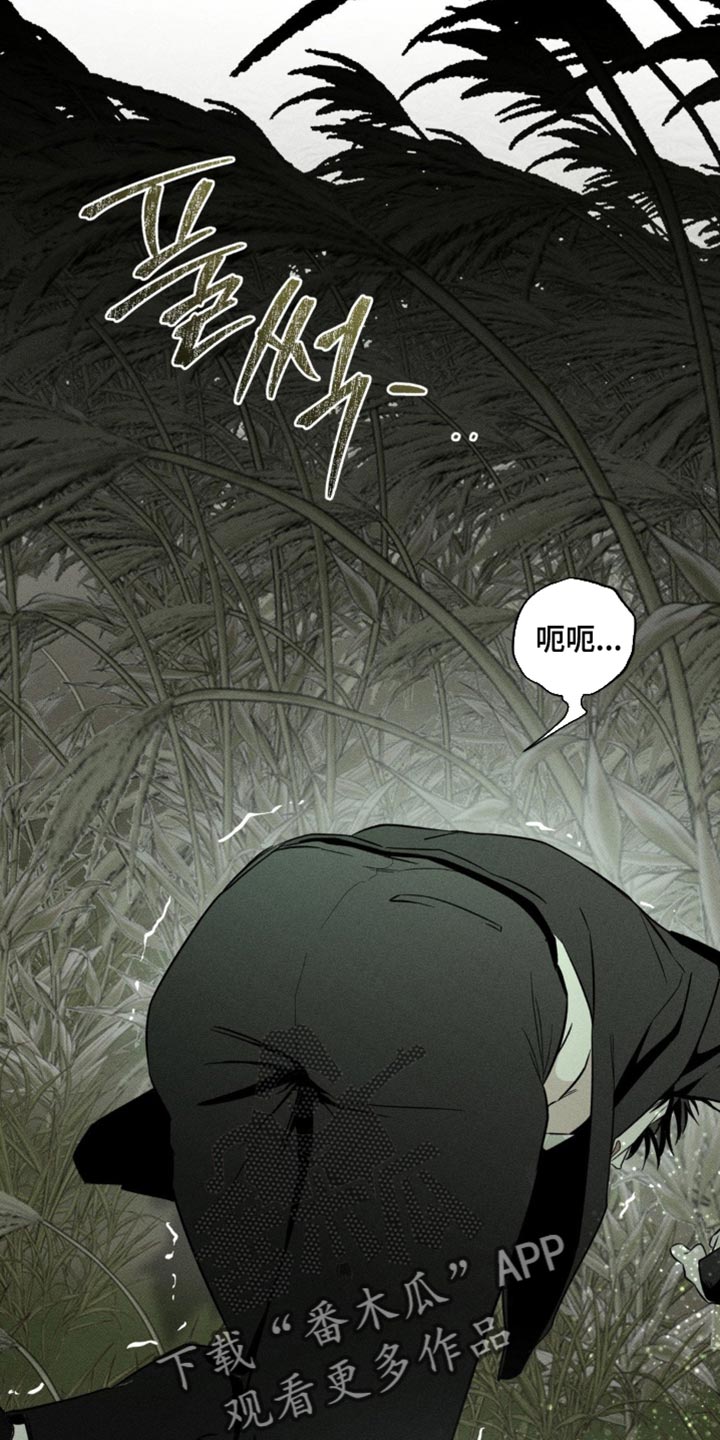 血族囚笼有动画版吗漫画,第72章：你根本就不需要4图