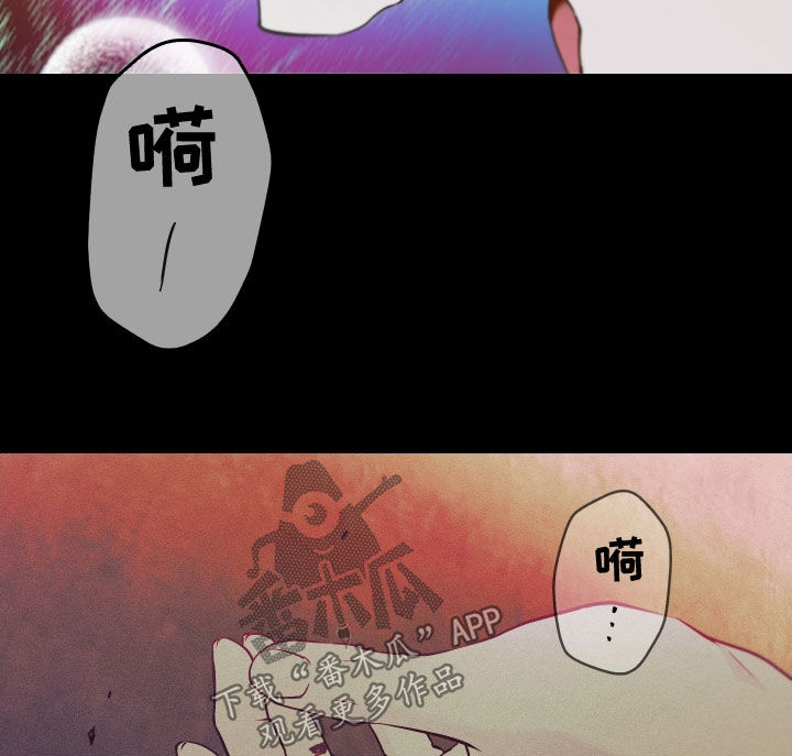 我的小笨熊漫画,第58章：属于你（第一季完结）2图