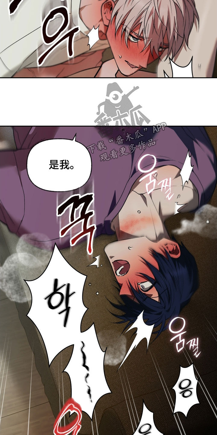 我的小笨熊漫画,第56章：重新开始1图