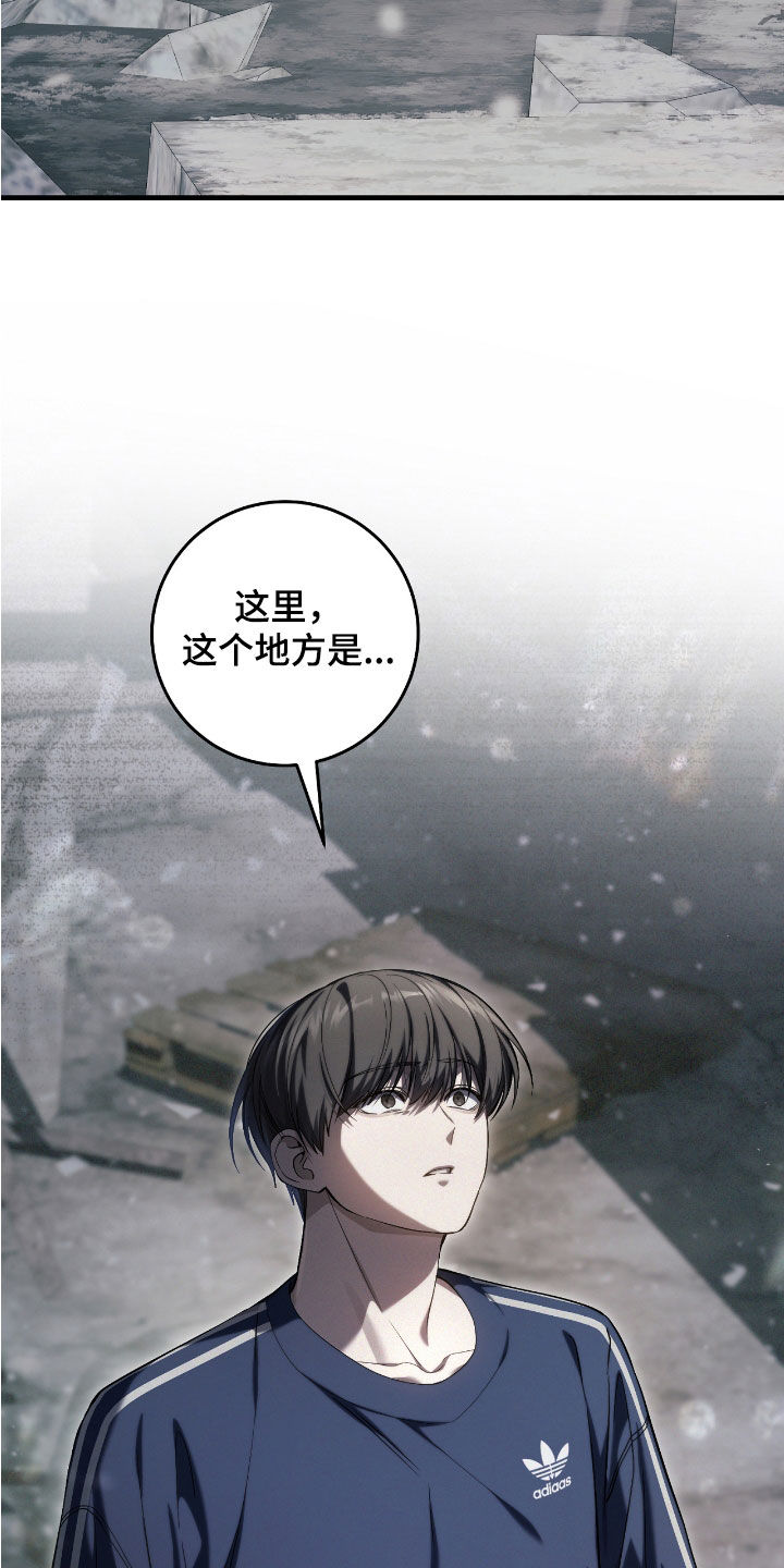 猎人回归漫画,第47章：世界碎片5图