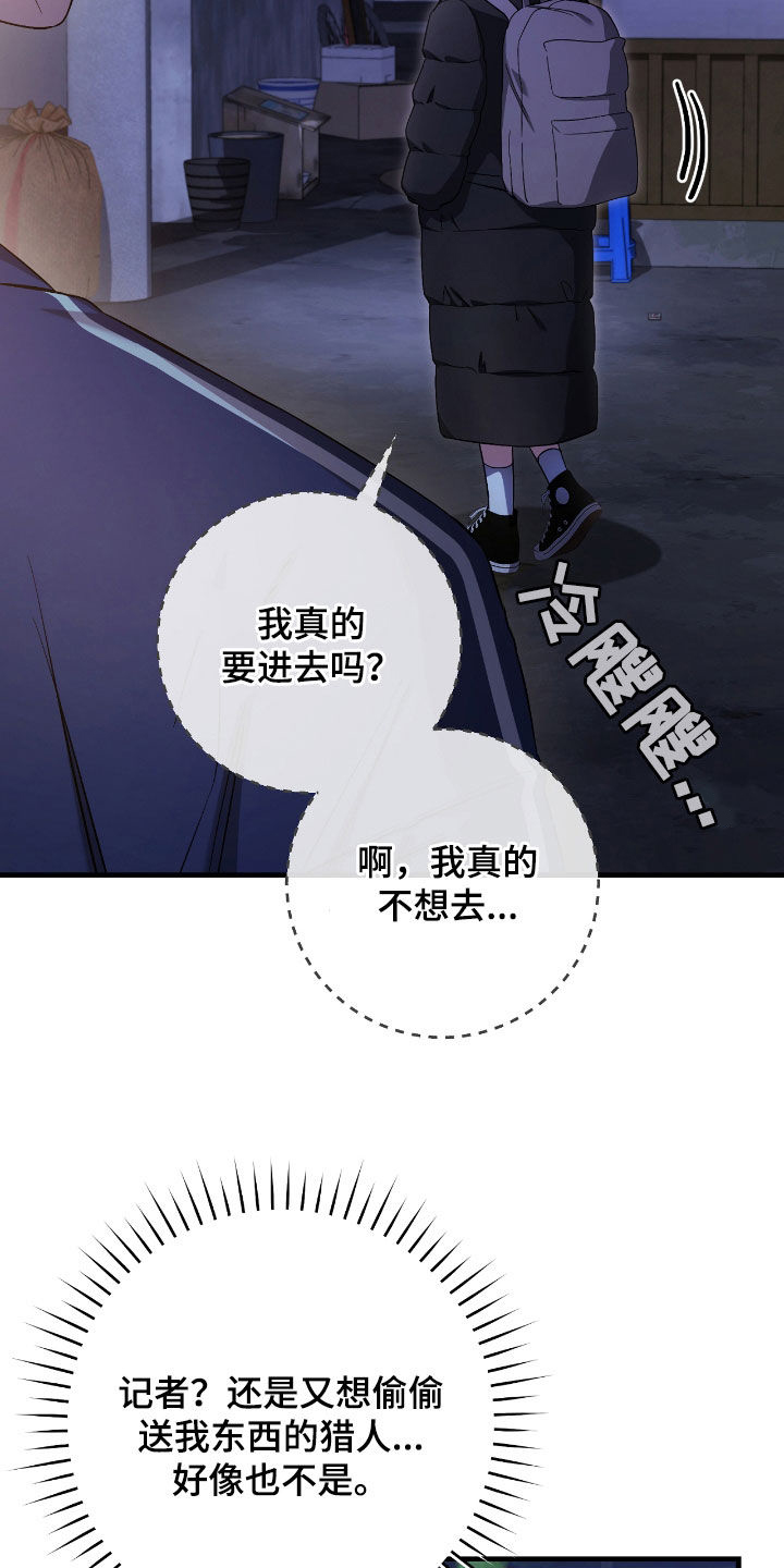 猎人回归漫画免费阅读漫画,第46章：送礼4图