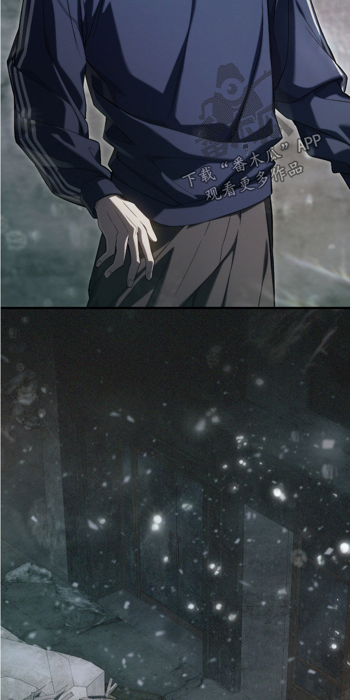 猎人回归免费在线阅读漫画,第47章：世界碎片1图