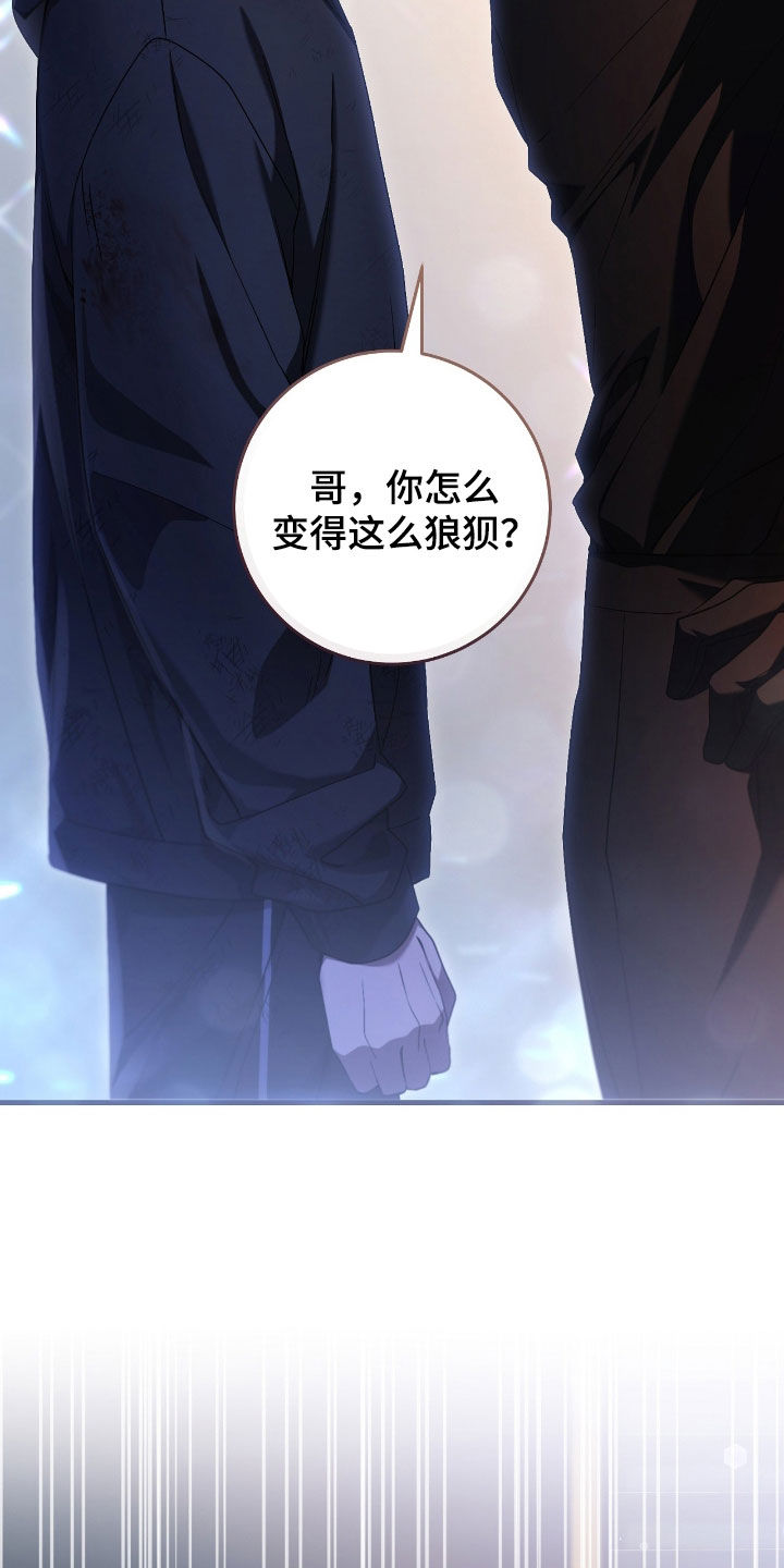 猎人回归更新到多少章了漫画,第53章：别动5图