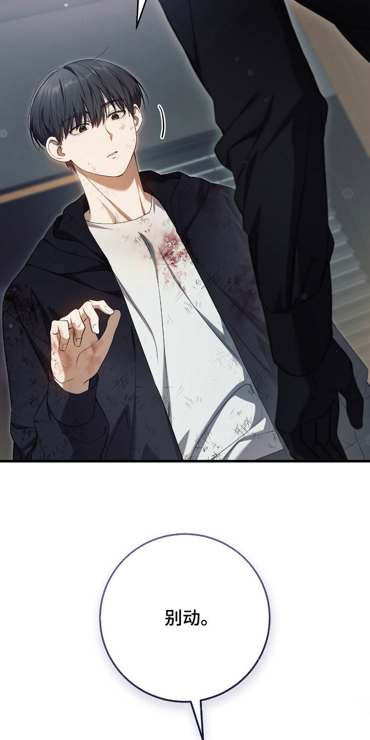 猎人狩猎视频漫画,第53章：别动1图