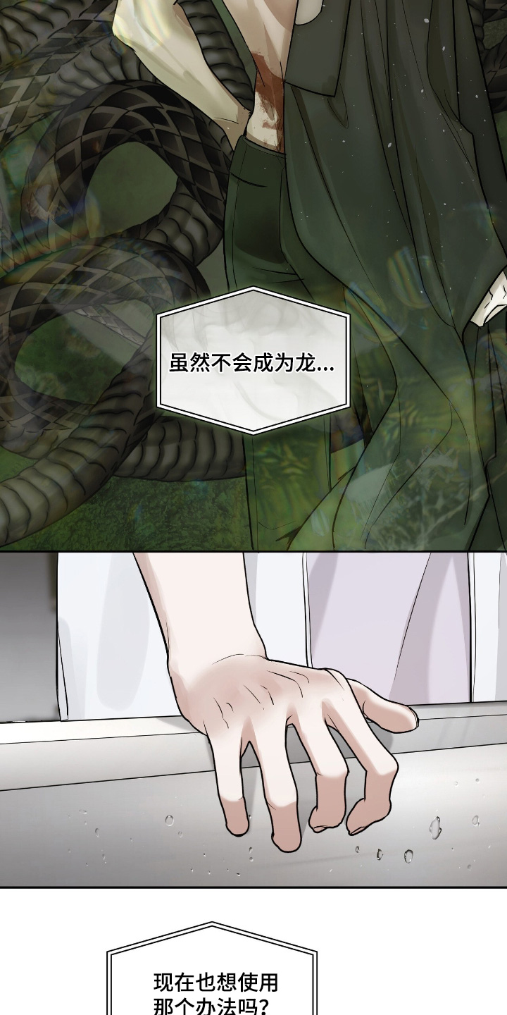 如意追影电视剧全集免费观看漫画,第45章：有什么办法2图