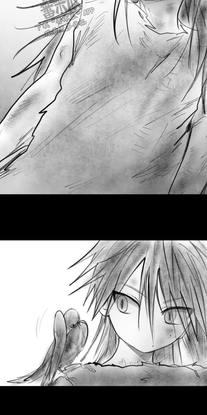 如意珠抖音名漫画,第40章：会珍惜的5图